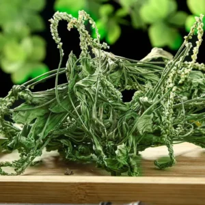 Che Qian Cao - Plantaginis Herba | TCM Herb for Health Benefits